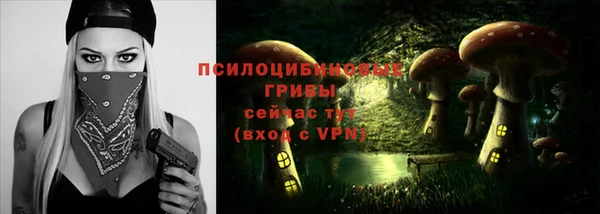 Альфа ПВП Заводоуковск